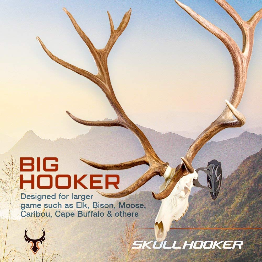 Skull Hooker European Mount 4 Skull Hooker European Mount