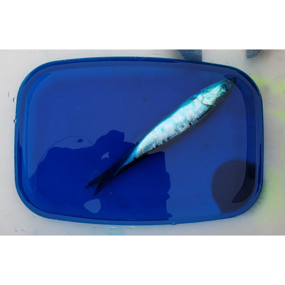 Pautzke Fire Brine 32oz 3 Pautzke Fire Brine 32oz