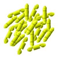 Scotty auto stop beads