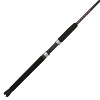 Shakespeare Ugly Stik Bigwater 8' Spinning Rod
