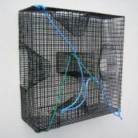 bauer prawn trap
