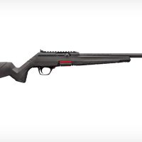 winchester wildcat 22