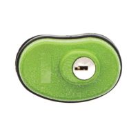 lockdown keyed trigger lock