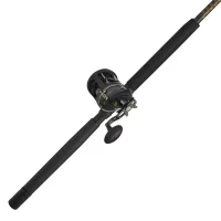 The PENN Squall II Level Wind combo