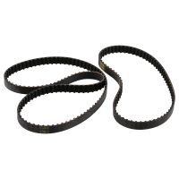 scotty belts