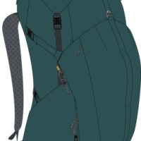 pct 50