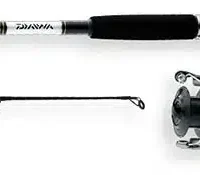 Daiwa D-wave