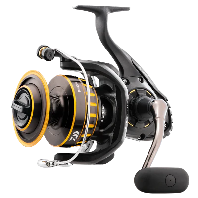 Daiwa BG Saltwater Reel 1 DAIWA bg rEEL
