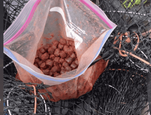 Pautzke Crab N Shrimp Fuel 2 Pautzke Crab N Shrimp Fuel - Image 2