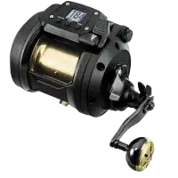 Conventional Reels